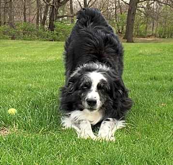 Photo of 0729 Axel