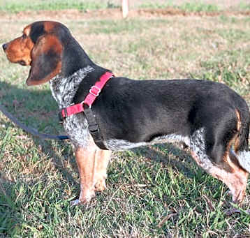 Photo of Jethro