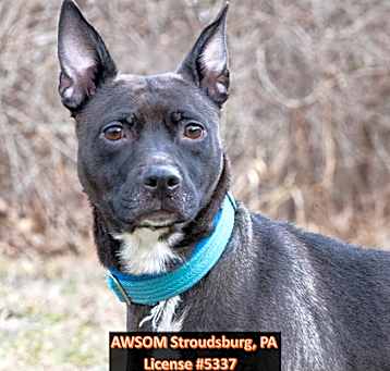 Photo of Storm