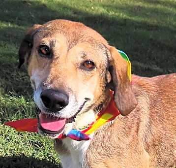 Photo of Thelma