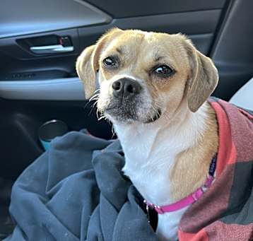 Photo of Winifred