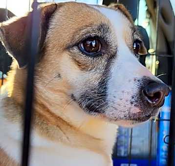 Photo of Gusto