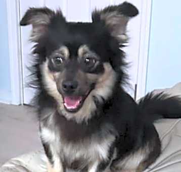 Photo of Rudy