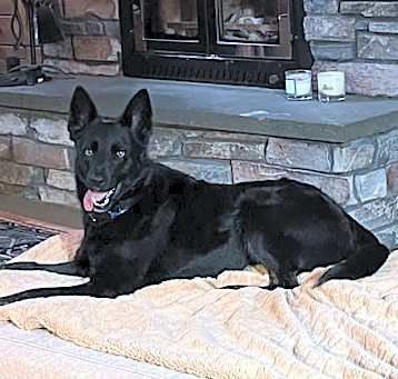 Photo of Arrow/Arlo 6727