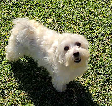 Photo of YOGI