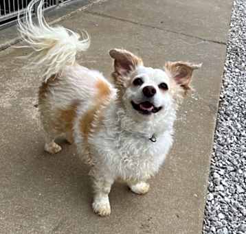 Photo of Tiny