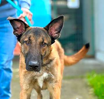 Photo of *TURBO