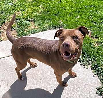 Photo of Buster Brown