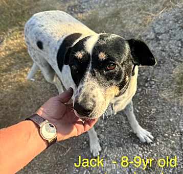 Photo of Jack