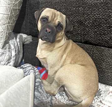 Photo of Gemma