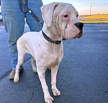 Photo of Ace
