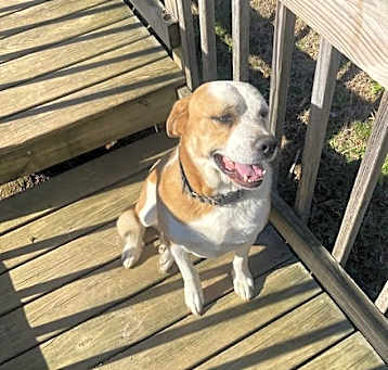 Photo of Mr. Bojangles