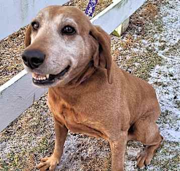 Photo of Lucy - Sponsored!