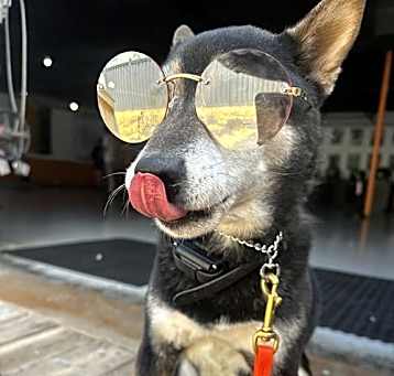 Photo of Sammie