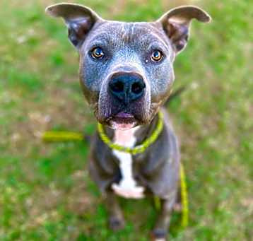 Photo of Beerus