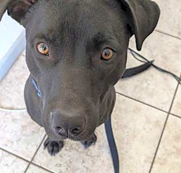 Photo of STORM