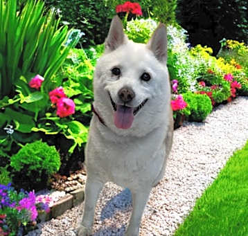 Photo of KAYLA