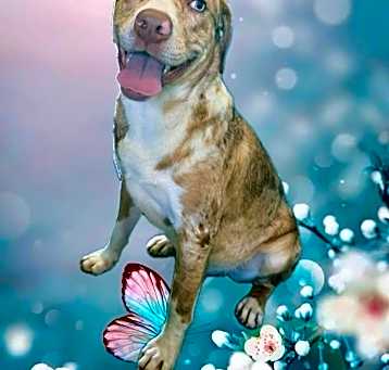 Photo of Handsome