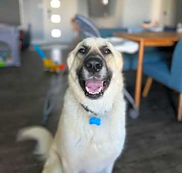 Photo of Juneau