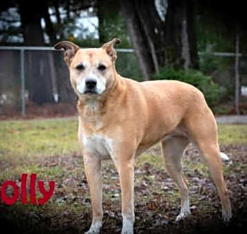 Photo of Holly