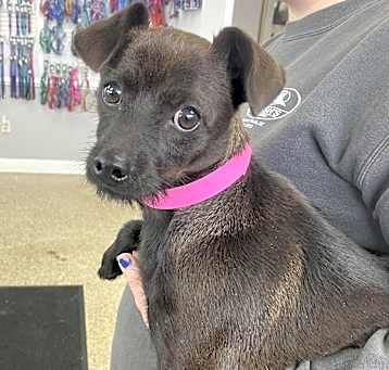 Photo of Maggie Mae