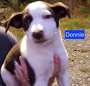 Photo of Donnie( I have blue eyes)