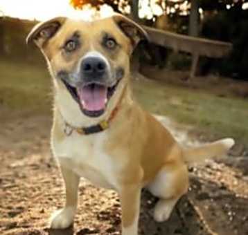 Photo of MAX