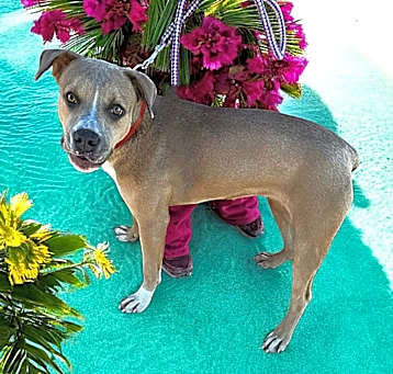 Photo of Sandy