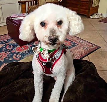Photo of Lina