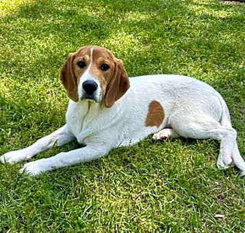 Photo of Dottie