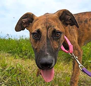 Photo of Bonnie