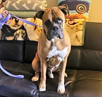 Photo of REMY