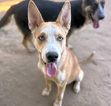 Photo of MISTO