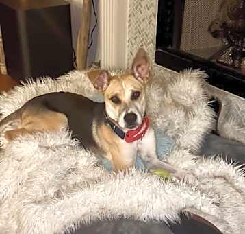 Photo of Maverick
