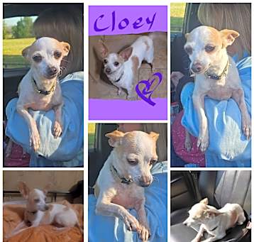 Photo of CLOEY