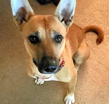 Photo of Missy