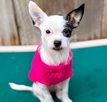Photo of Betty