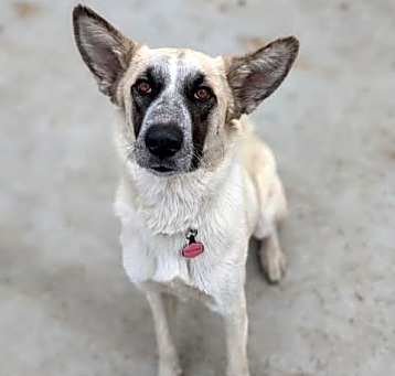 Photo of Freya