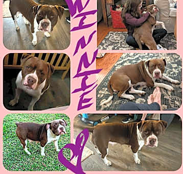 Photo of WINNIE