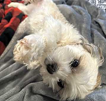 Photo of Lilah