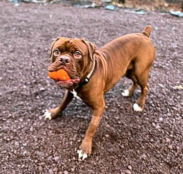 Photo of Doug