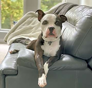 Photo of Churchill
