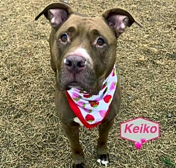 Photo of Keiko