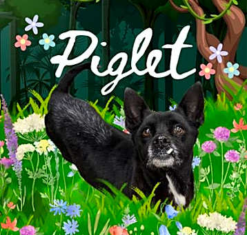 Photo of Piglet
