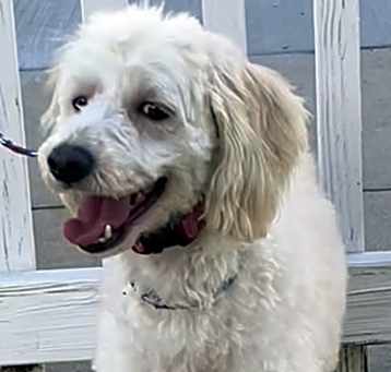 Photo of Mia