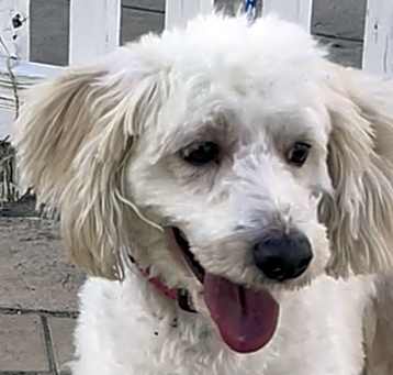 Photo of Mia