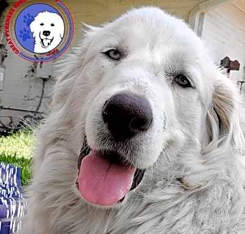 Photo of Winkie