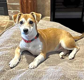 Photo of Holly