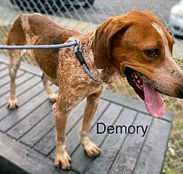 Photo of Demory