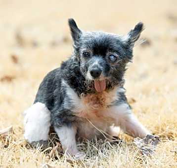 Photo of Lola